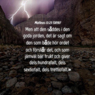 Picture 04 - Matteus 13:23 SV1917 - Men att den såddes i den goda jorden, det är - Bible Verse Picture