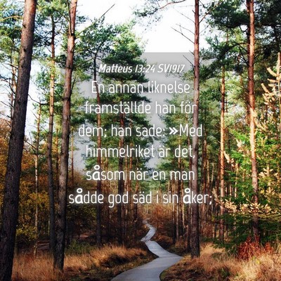 Picture 04 - Matteus 13:24 SV1917 - En annan liknelse framställde han för dem; han - Bible Verse Picture
