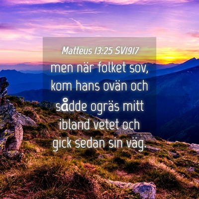 Picture 04 - Matteus 13:25 SV1917 - men när folket sov, kom hans ovän och sådde - Bible Verse Picture