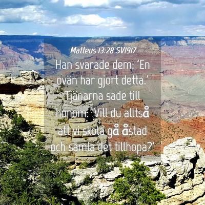 Picture 04 - Matteus 13:28 SV1917 - Han svarade dem: 'En ovän har gjort detta.' - Bible Verse Picture