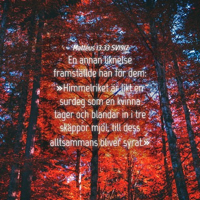 Picture 04 - Matteus 13:33 SV1917 - En annan liknelse framställde han för dem: - Bible Verse Picture