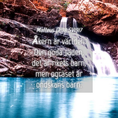 Picture 04 - Matteus 13:38 SV1917 - Åkern är världen. Den goda säden, det är - Bible Verse Picture