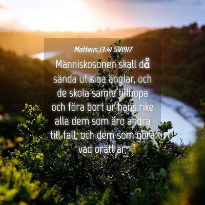 Picture 04 - Matteus 13:41 SV1917 - Människosonen skall då sända ut sina änglar, - Bible Verse Picture