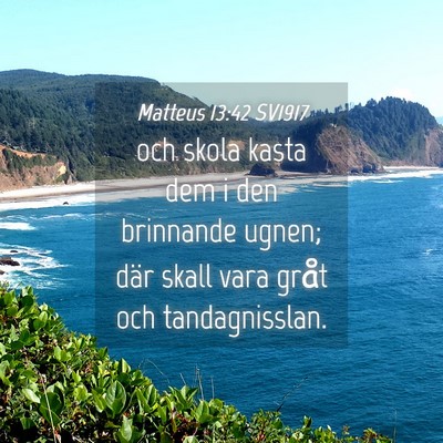 Picture 04 - Matteus 13:42 SV1917 - och skola kasta dem i den brinnande ugnen; där - Bible Verse Picture