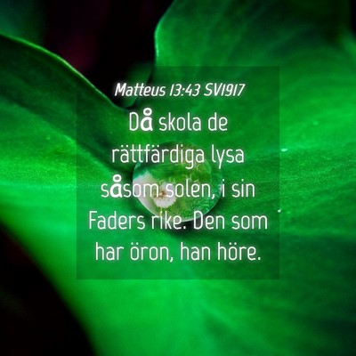 Picture 04 - Matteus 13:43 SV1917 - Då skola de rättfärdiga lysa såsom solen, i - Bible Verse Picture
