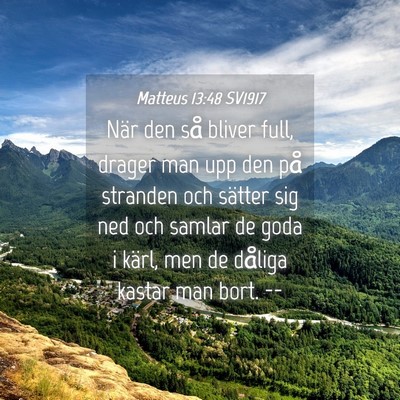 Picture 04 - Matteus 13:48 SV1917 - När den så bliver full, drager man upp den på - Bible Verse Picture