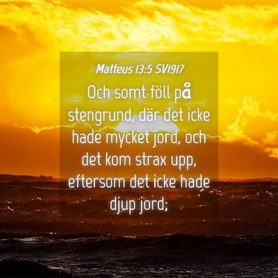 Picture 04 - Matteus 13:5 SV1917 - Och somt föll på stengrund, där det icke hade - Bible Verse Picture