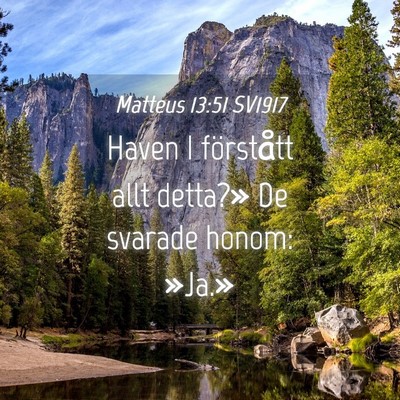 Picture 04 - Matteus 13:51 SV1917 - Haven I förstått allt detta?» De svarade - Bible Verse Picture