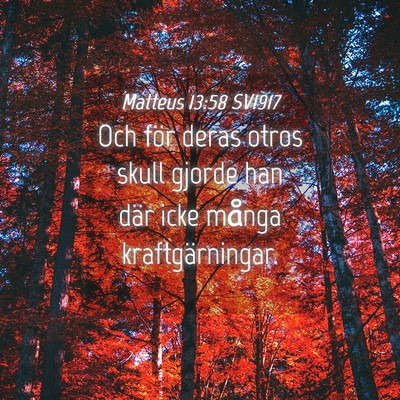 Picture 04 - Matteus 13:58 SV1917 - Och för deras otros skull gjorde han där icke - Bible Verse Picture