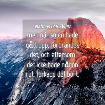 Picture 04 - Matteus 13:6 SV1917 - men när solen hade gått upp, förbrändes det, - Bible Verse Picture