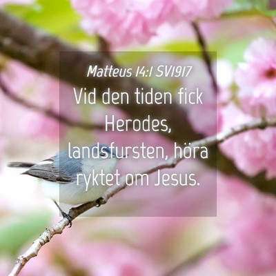 Picture 04 - Matteus 14:1 SV1917 - Vid den tiden fick Herodes, landsfursten, höra - Bible Verse Picture