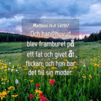 Picture 04 - Matteus 14:11 SV1917 - Och hans huvud blev framburet på ett fat och - Bible Verse Picture