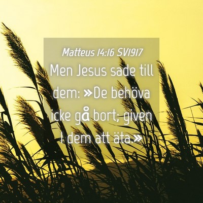 Picture 04 - Matteus 14:16 SV1917 - Men Jesus sade till dem: »De behöva icke gå - Bible Verse Picture