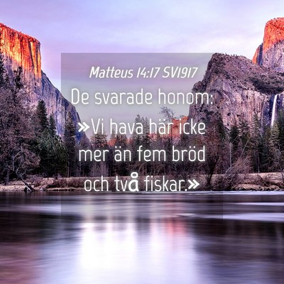 Picture 04 - Matteus 14:17 SV1917 - De svarade honom: »Vi hava här icke mer än fem - Bible Verse Picture