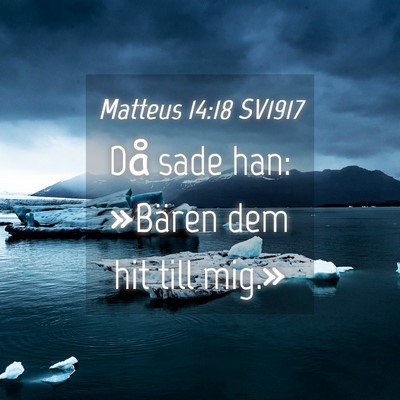 Picture 04 - Matteus 14:18 SV1917 - Då sade han: »Bären dem hit till - Bible Verse Picture