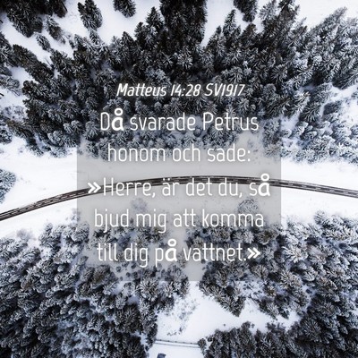 Picture 04 - Matteus 14:28 SV1917 - Då svarade Petrus honom och sade: »Herre, är - Bible Verse Picture