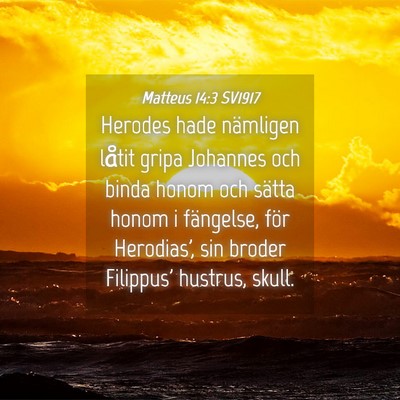 Picture 04 - Matteus 14:3 SV1917 - Herodes hade nämligen låtit gripa Johannes och - Bible Verse Picture