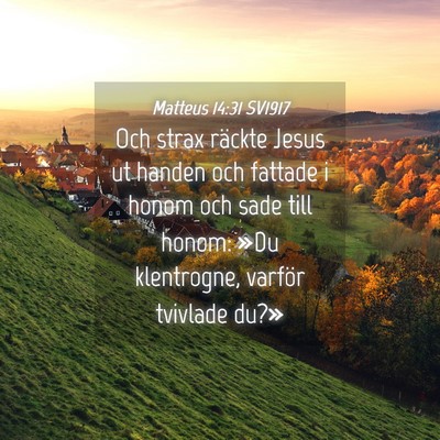 Picture 04 - Matteus 14:31 SV1917 - Och strax räckte Jesus ut handen och fattade i - Bible Verse Picture