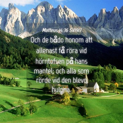 Picture 04 - Matteus 14:36 SV1917 - Och de bådo honom att allenast få röra vid - Bible Verse Picture