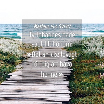 Picture 04 - Matteus 14:4 SV1917 - Ty Johannes hade sagt till honom: »Det är icke - Bible Verse Picture