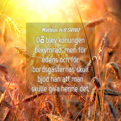 Picture 04 - Matteus 14:9 SV1917 - Då blev konungen bekymrad, men för edens och - Bible Verse Picture