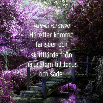 Picture 04 - Matteus 15:1 SV1917 - Härefter kommo fariséer och skriftlärde från - Bible Verse Picture