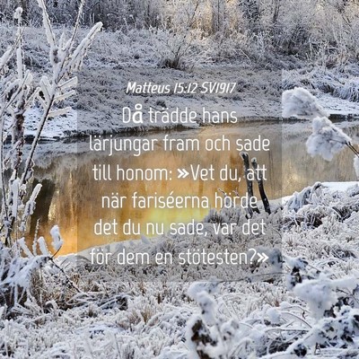 Picture 04 - Matteus 15:12 SV1917 - Då trädde hans lärjungar fram och sade till - Bible Verse Picture