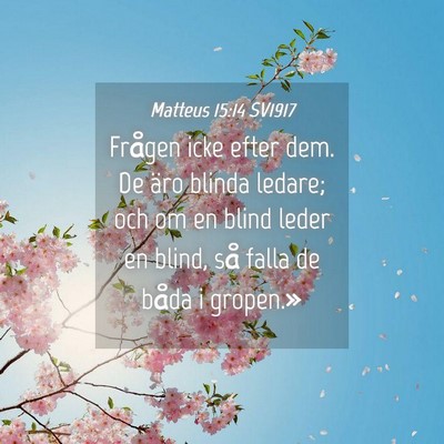 Picture 04 - Matteus 15:14 SV1917 - Frågen icke efter dem. De äro blinda ledare; - Bible Verse Picture