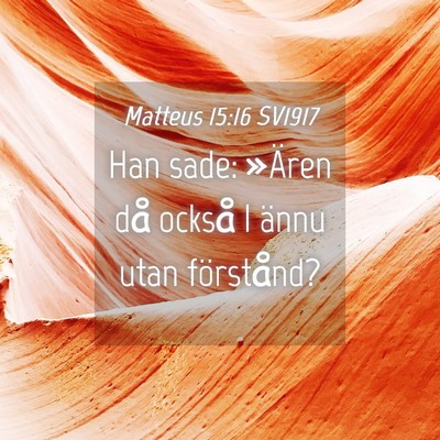 Picture 04 - Matteus 15:16 SV1917 - Han sade: »Ären då också I ännu utan - Bible Verse Picture