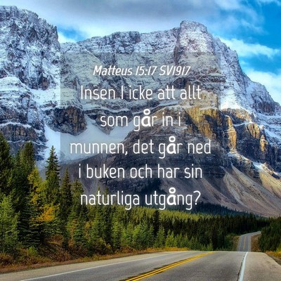 Picture 04 - Matteus 15:17 SV1917 - Insen I icke att allt som går in i munnen, det - Bible Verse Picture
