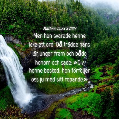 Picture 04 - Matteus 15:23 SV1917 - Men han svarade henne icke ett ord. Då trädde - Bible Verse Picture