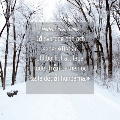 Picture 04 - Matteus 15:26 SV1917 - Då svarade han och sade: »Det är otillbörligt - Bible Verse Picture