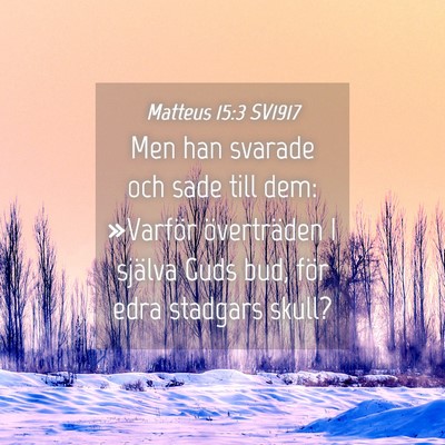 Picture 04 - Matteus 15:3 SV1917 - Men han svarade och sade till dem: »Varför - Bible Verse Picture