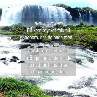 Picture 04 - Matteus 15:30 SV1917 - Då kom mycket folk till honom, och de hade med - Bible Verse Picture