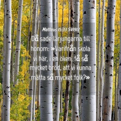 Picture 04 - Matteus 15:33 SV1917 - Då sade lärjungarna till honom: »Varifrån - Bible Verse Picture