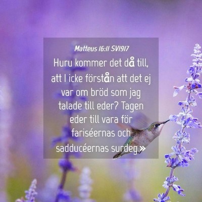 Picture 04 - Matteus 16:11 SV1917 - Huru kommer det då till, att I icke förstån - Bible Verse Picture