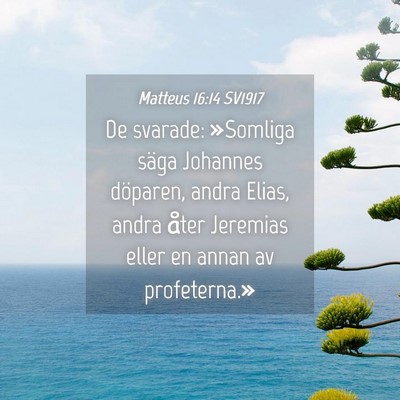 Picture 04 - Matteus 16:14 SV1917 - De svarade: »Somliga säga Johannes döparen, - Bible Verse Picture