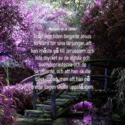 Picture 04 - Matteus 16:21 SV1917 - Från den tiden begynte Jesus förklara för sina - Bible Verse Picture
