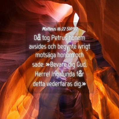 Picture 04 - Matteus 16:22 SV1917 - Då tog Petrus honom avsides och begynte ivrigt - Bible Verse Picture