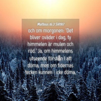Picture 04 - Matteus 16:3 SV1917 - och om morgonen: 'Det bliver oväder i dag, ty - Bible Verse Picture