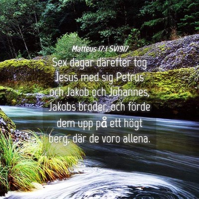 Picture 04 - Matteus 17:1 SV1917 - Sex dagar därefter tog Jesus med sig Petrus och - Bible Verse Picture