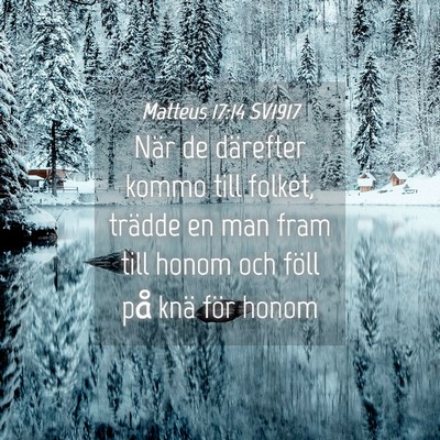 Picture 04 - Matteus 17:14 SV1917 - När de därefter kommo till folket, trädde en - Bible Verse Picture
