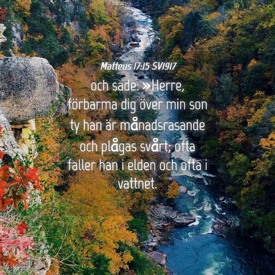 Picture 04 - Matteus 17:15 SV1917 - och sade: »Herre, förbarma dig över min son ty - Bible Verse Picture