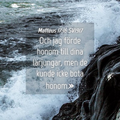 Picture 04 - Matteus 17:16 SV1917 - Och jag förde honom till dina lärjungar, men de - Bible Verse Picture