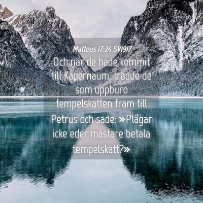 Picture 04 - Matteus 17:24 SV1917 - Och när de hade kommit till Kapernaum, trädde - Bible Verse Picture