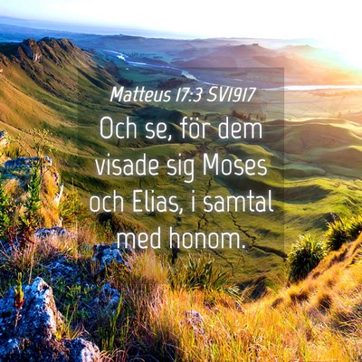 Picture 04 - Matteus 17:3 SV1917 - Och se, för dem visade sig Moses och Elias, i - Bible Verse Picture