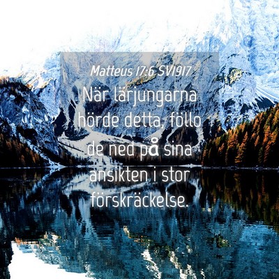 Picture 04 - Matteus 17:6 SV1917 - När lärjungarna hörde detta, föllo de ned på - Bible Verse Picture