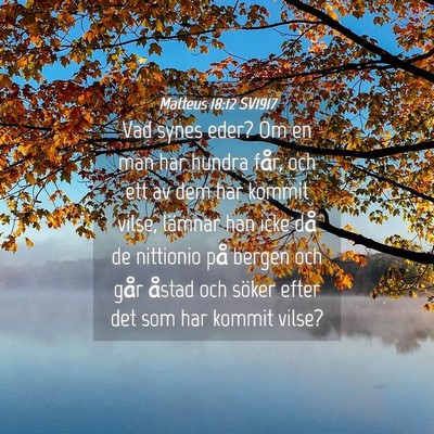 Picture 04 - Matteus 18:12 SV1917 - Vad synes eder? Om en man har hundra får, och - Bible Verse Picture