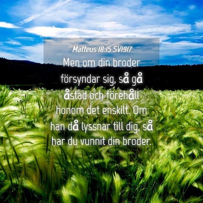 Picture 04 - Matteus 18:15 SV1917 - Men om din broder försyndar sig, så gå åstad - Bible Verse Picture