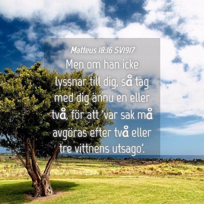 Picture 04 - Matteus 18:16 SV1917 - Men om han icke lyssnar till dig, så tag med dig - Bible Verse Picture